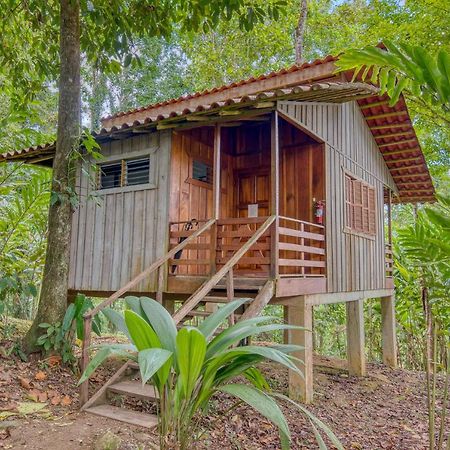 Selva Bananito Lodge Westfalia Exterior foto